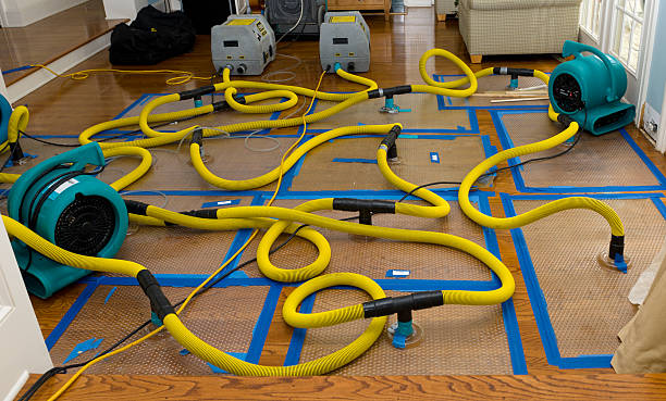 Professional Water Extraction technician working in Norwood, GA